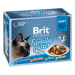 Brit Premium Cat Delicate Fillets in Gravy Family Plate 1020g (12x85g)