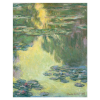 Obrazová reprodukce Watelilies I, Claude Monet, 30 × 40 cm