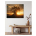 Obrazy na stěnu - Obličej ve stromu při západu slunce Rozměr: 40x50 cm, Rámování: bez rámu a bez