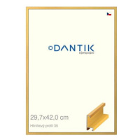 DANTIK rámeček 29,7 × 42, ALU profil 6035 Dýha barevný žlutý plexi čiré