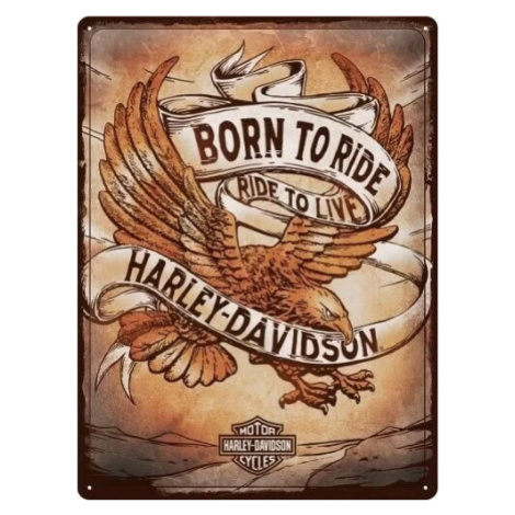 Plechová cedule Harley-Davidson - Born to Ride, (30 x 40 cm) POSTERSHOP