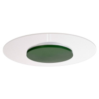 Deko-Light Stropní svítidlo Zaniah LED, 360° světlo, 24 W, zelené