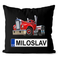 Impar SPZ se jménem, barevný kamion, Miloslav