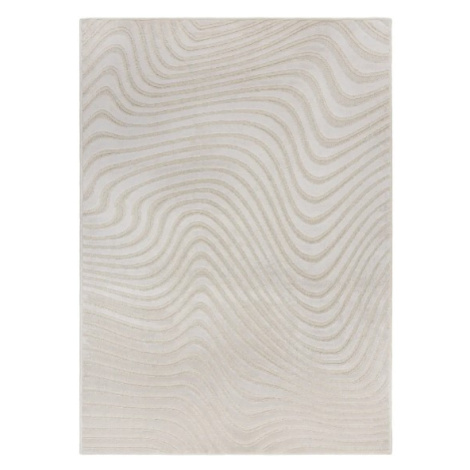 Bavlněný koberec s potiskem 60 x 90 cm Flair Rugs