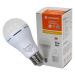 Ledvance LED Žárovka RECHARGEABLE A60 E27/8W/230V 6500K - Ledvance