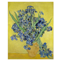 Obrazová reprodukce Irises, 1890, Vincent van Gogh, 30 × 40 cm