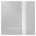 Pirastro PERPETUAL EDITION 333450 - Struna C na violoncello