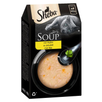 SHEBA polévka s kuřecím masem 32 × 40 g