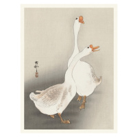 Obrazová reprodukce Two Geese, Ohara Koson, 30 × 40 cm