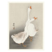 Obrazová reprodukce Two Geese, Ohara Koson, 30 × 40 cm