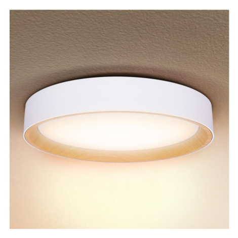 Brilagi -LED Stmívatelné svítidlo LARIOS LED/60W/230V 3000-6500K pr. 49 cm bílá+DO WO800-OEM18