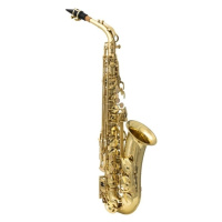 Victory VAS Student 02 Alto saxofon