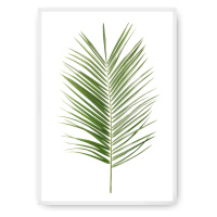 Dekoria Plakát Palm Leaf Green, 21 x 30 cm, Vybrat rám: Bílý