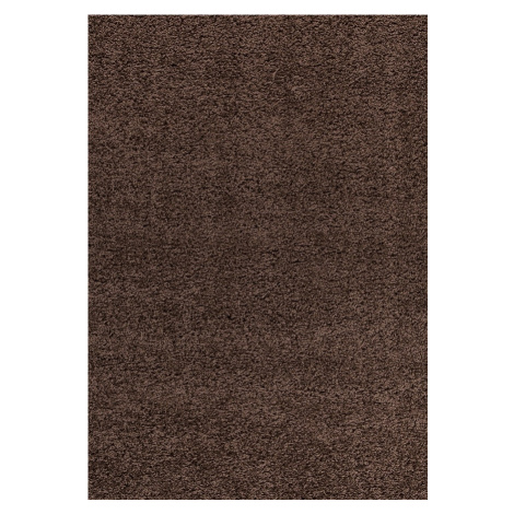 Ayyildiz koberce Kusový koberec Dream Shaggy 4000 brown Rozměry koberců: 65x130