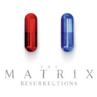 Umělecký tisk The Matrix Resurrections, (26.7 x 40 cm)