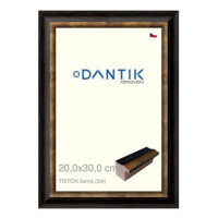 DANTIK rámeček 20 × 30, TRITON černý sklo čiré