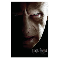 Umělecký tisk Harry Potter - Voldemort, 26.7 × 40 cm