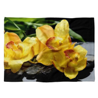 IMPAR Fleecová deka Žluté květy, 200 × 140 cm