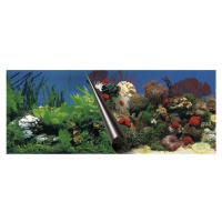 Ebi Photo Decor Stone + Coral  80 x 40cm