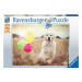 Ravensburger 16585 puzzle pes labrador s balónky 500 dílků