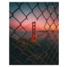 Fotografie Golden Gate Caged, David George, 30 × 40 cm