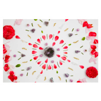 Ilustrace Overhead view of flower petals decorated, Cavan Images, 40 × 26.7 cm