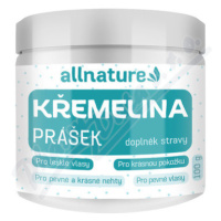 Allnature Křemelina prášek 100g