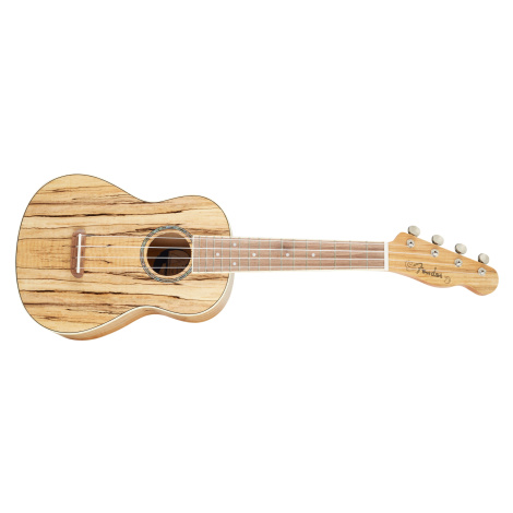 Ukulele FENDER