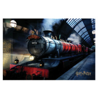 Plakát, Obraz - Harry Potter - Bradavický expres, 120 × 80 cm