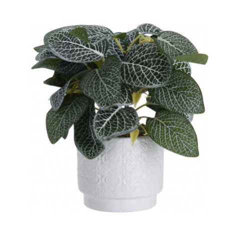 Umělá rostlina v květináči 28 cm, bílo-zelené listy Asko