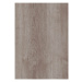 Oneflor Vinylová podlaha lepená ECO 30 062 Noble Oak Greige  - dub - Lepená podlaha