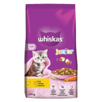 Whiskas Suché Junior Kuřecí - 1,4kg