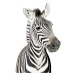 Umělecká fotografie Baby Zebra, Sisi & Seb, (30 x 40 cm)