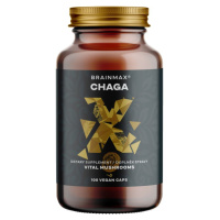 BrainMax Chaga extrakt, 50 % polysacharidů a 20 % beta-1,3/1,6 D-glukanů, 500 mg, 100 rostlinnýc