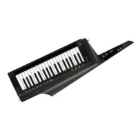 KORG RK-100S2 BK