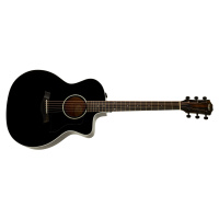 Taylor 214ce-BLK DLX (rozbalené)