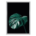 Dekoria Plakát Dark Monstera, 70 x 100 cm, Volba rámku: Stříbrný