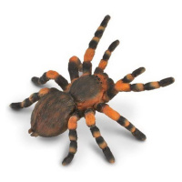 Collecta tarantule