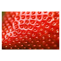 Fotografie Close-up of a fresh strawberry surface, digihelion, 40x26.7 cm