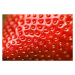 Fotografie Close-up of a fresh strawberry surface, digihelion, 40 × 26.7 cm