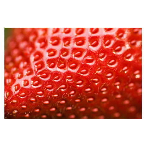 Fotografie Close-up of a fresh strawberry surface, digihelion, 40 × 26.7 cm