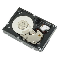 DELL 2TB 7.2K RPM SATA 6Gbps 512n 3.5in Cabled Hard Drive CK, PE T140, T150