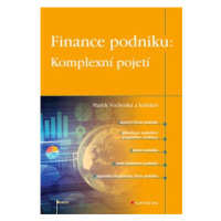 Finance podniku: Komplexní pojetí - kol., Marek Vochozka