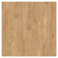 Creation 55 Solid Clic Swiss Oak Golden 0796