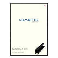 DANTIK rámeček 42 × 59,4, ALU profil 7269 Černý matný plexi čiré