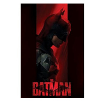 DC Comics Batman Out Of The Shadows