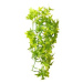 Hobby Ivy popínavá rostlina dekorace do terária 37 cm