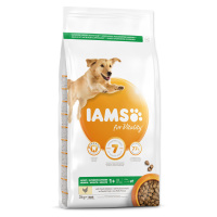 IAMS Dog Adult Large Chicken 3 kg