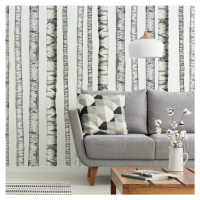 York Wallcoverings Samolepky na zeď se vzorem stromů BŘÍZY