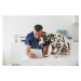 Fotografie Caucasian veterinarian cuddling dog and using, LWA/Dann Tardif, 40 × 26.7 cm